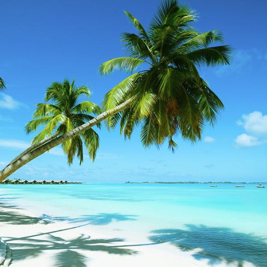 White Sandy beach - Royale Suites White Sandy beach