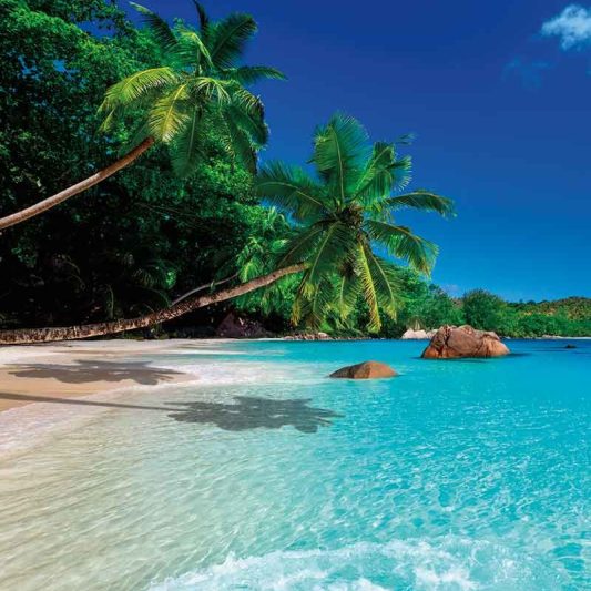 Crystal clear beach - Royale Suites Crystal clear beach