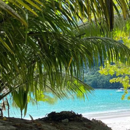 royale-suites-anse-royale.jpg - Royale Suites Pristine Anse Royale Beach