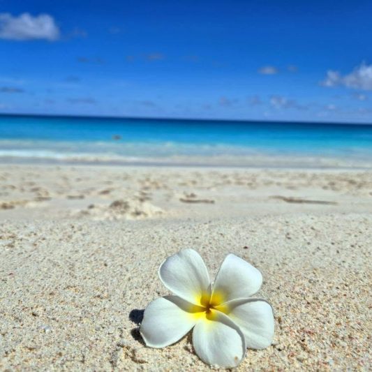 white-sandy-beaches-seychelles,jpg - Royale Suites White Sandy beaches and turquoise waters of Seychelles